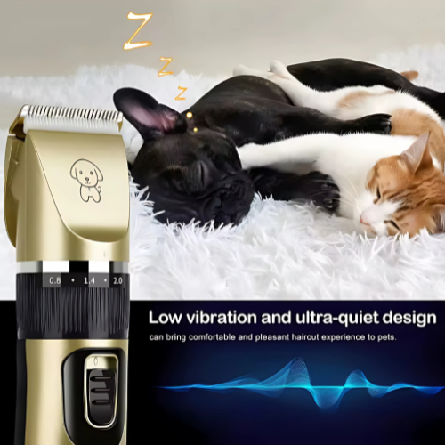 Professionele Hondentrimmer - Vachtverzorging voor Elke Hond