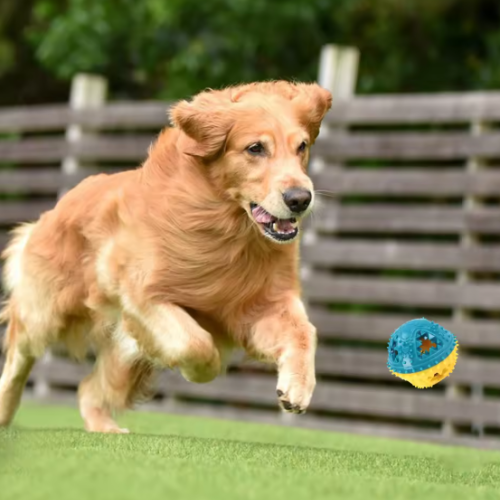 Snackbal voor Honden – Interactief Kauwspeelgoed met Tandreinigende Textuur