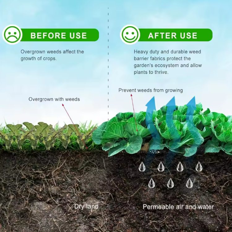 Water-permeable Anti-Root Fabric – Greenhouse & Garden Weed Control