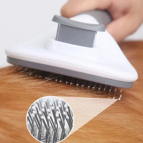 Dog & Cat Brush