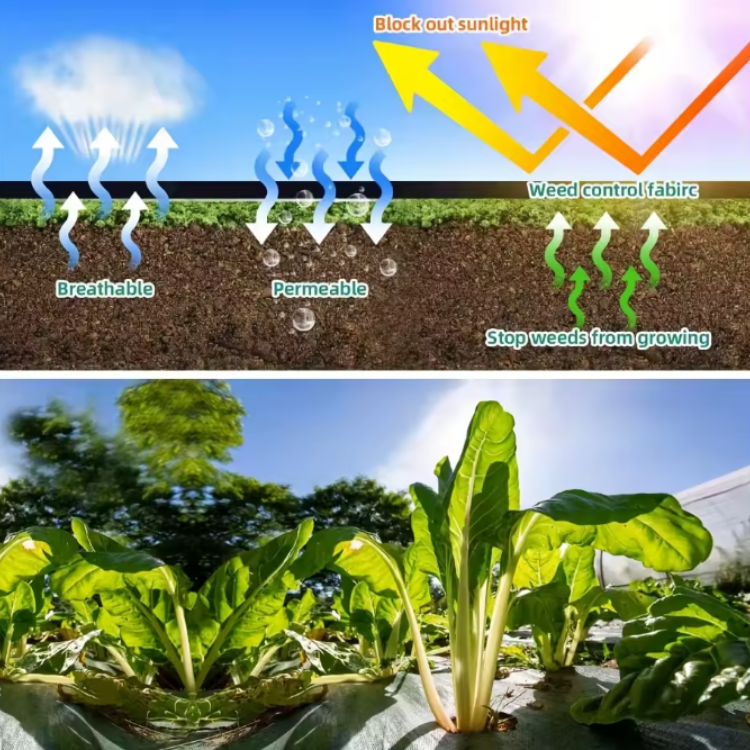 Water-permeable Anti-Root Fabric – Greenhouse & Garden Weed Control