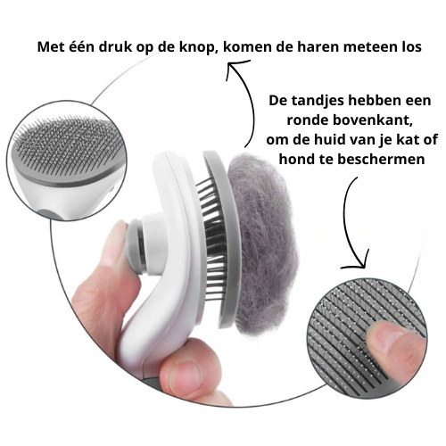 Dog & Cat Brush