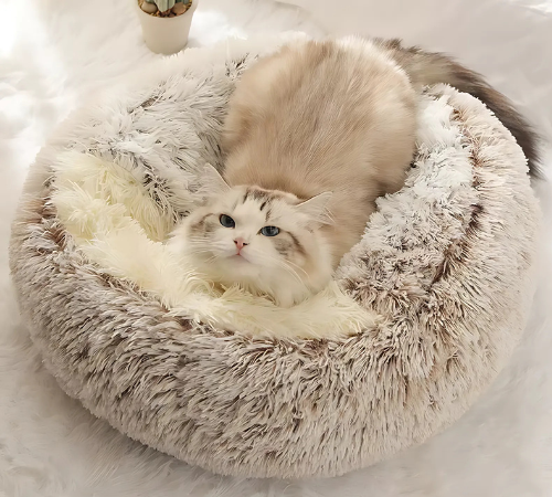 Fluffy Cat Bed – Soft Winter Bed for Fall & Winter