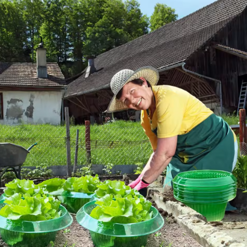 Plantenbescherming | Beschermhoes tegen Vorst, Slakken en Beschadigingen