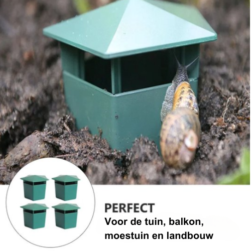 Snail Traps Set of 8 – Keep Your Garden Snail Free With This Simple Solution