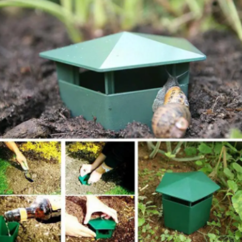 Snail Traps Set of 8 – Keep Your Garden Snail Free With This Simple Solution