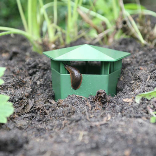 Snail Traps Set of 8 – Keep Your Garden Snail Free With This Simple Solution