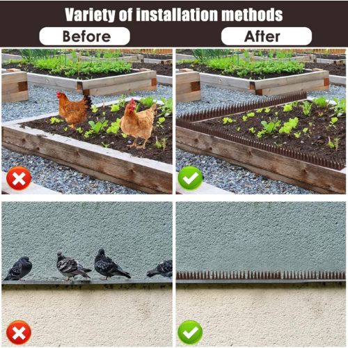 Bird Repellent Pins Against Pigeons – Sustainable Solution for your Home or Garden