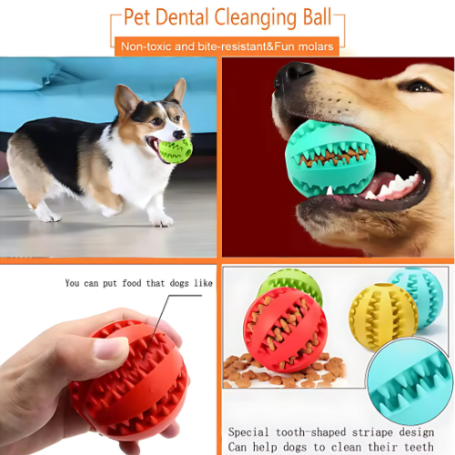 Interactive Dog Toy Ball for Dogs – Chew Ball and Teeth Cleaning