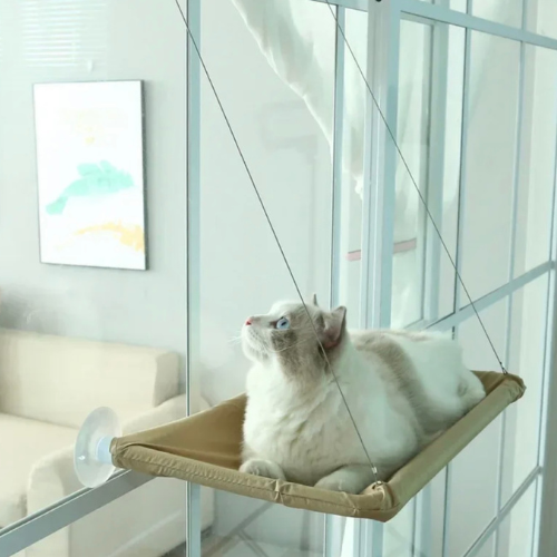 Cat Hammock for Window or Wall – Strong Seating Platform with Suction Cup