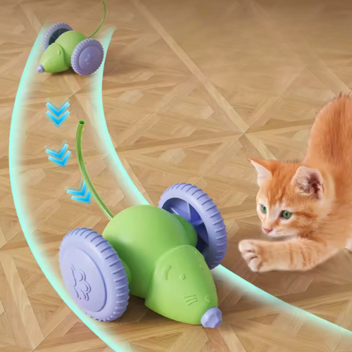 Elektrische Muisauto voor Katten – Interactief Oplaadbaar Kattenspeelgoed met Obstakelvermijding