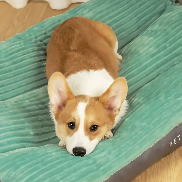 Large Corduroy Dog Mattress Washable 