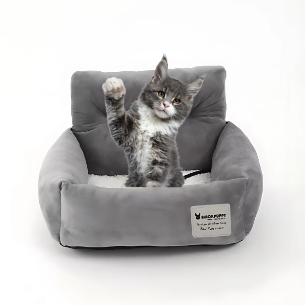 Katten Autostoel Antislip