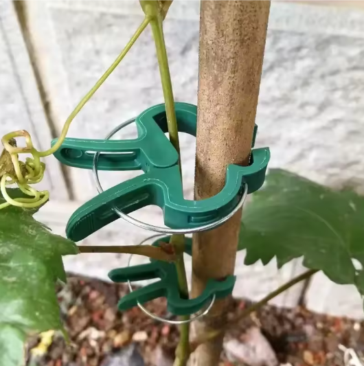 Plantenclip voor Tuin | Zelfklevende Plantenclips en Plantsteunclip