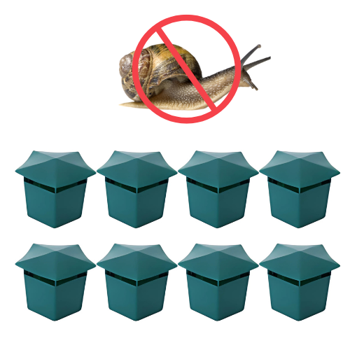 Snail Traps Set of 8 – Keep Your Garden Snail Free With This Simple Solution