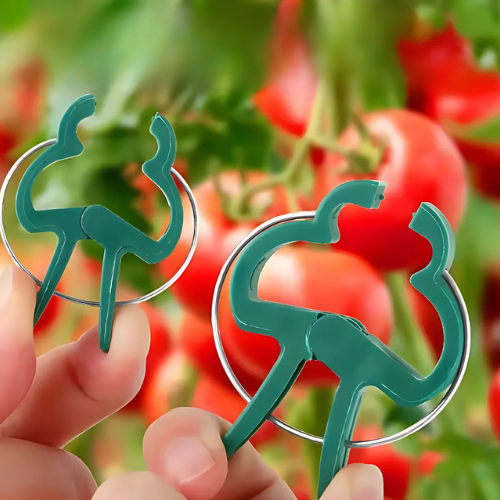 Plantenclip voor Tuin | Zelfklevende Plantenclips en Plantsteunclip