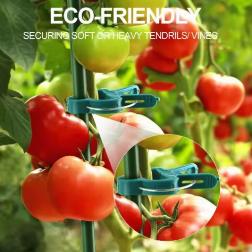 Plantenclip voor Tuin | Zelfklevende Plantenclips en Plantsteunclip