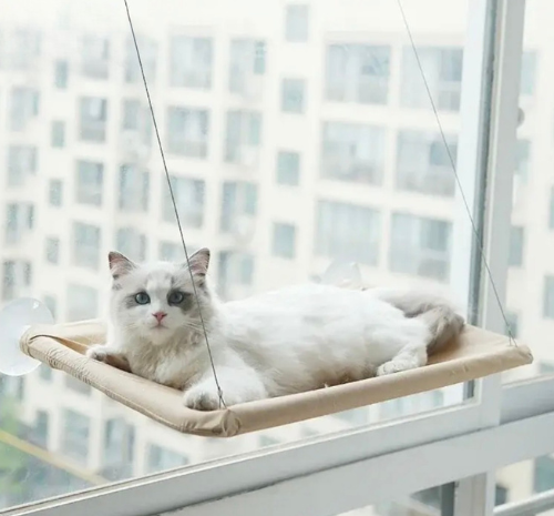 Cat Hammock for Window or Wall – Strong Seating Platform with Suction Cup
